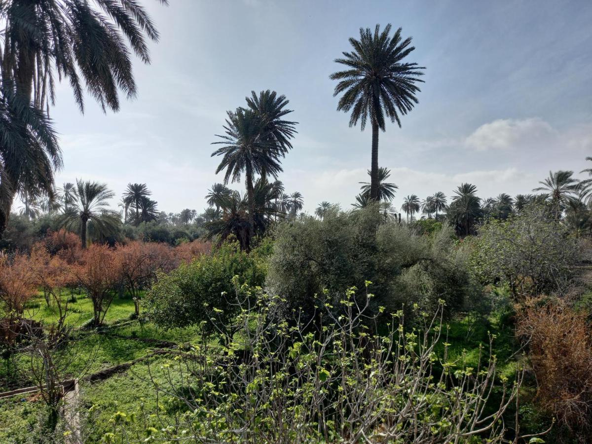 Dar Seddik Hotel Gafsa Ngoại thất bức ảnh