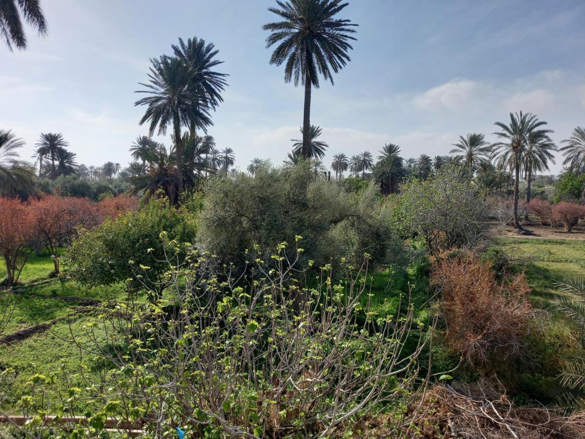 Dar Seddik Hotel Gafsa Ngoại thất bức ảnh