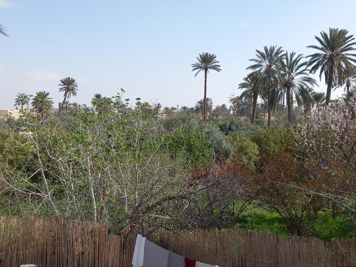 Dar Seddik Hotel Gafsa Ngoại thất bức ảnh